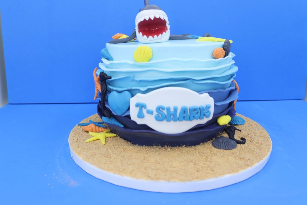 T Shark - Image 3