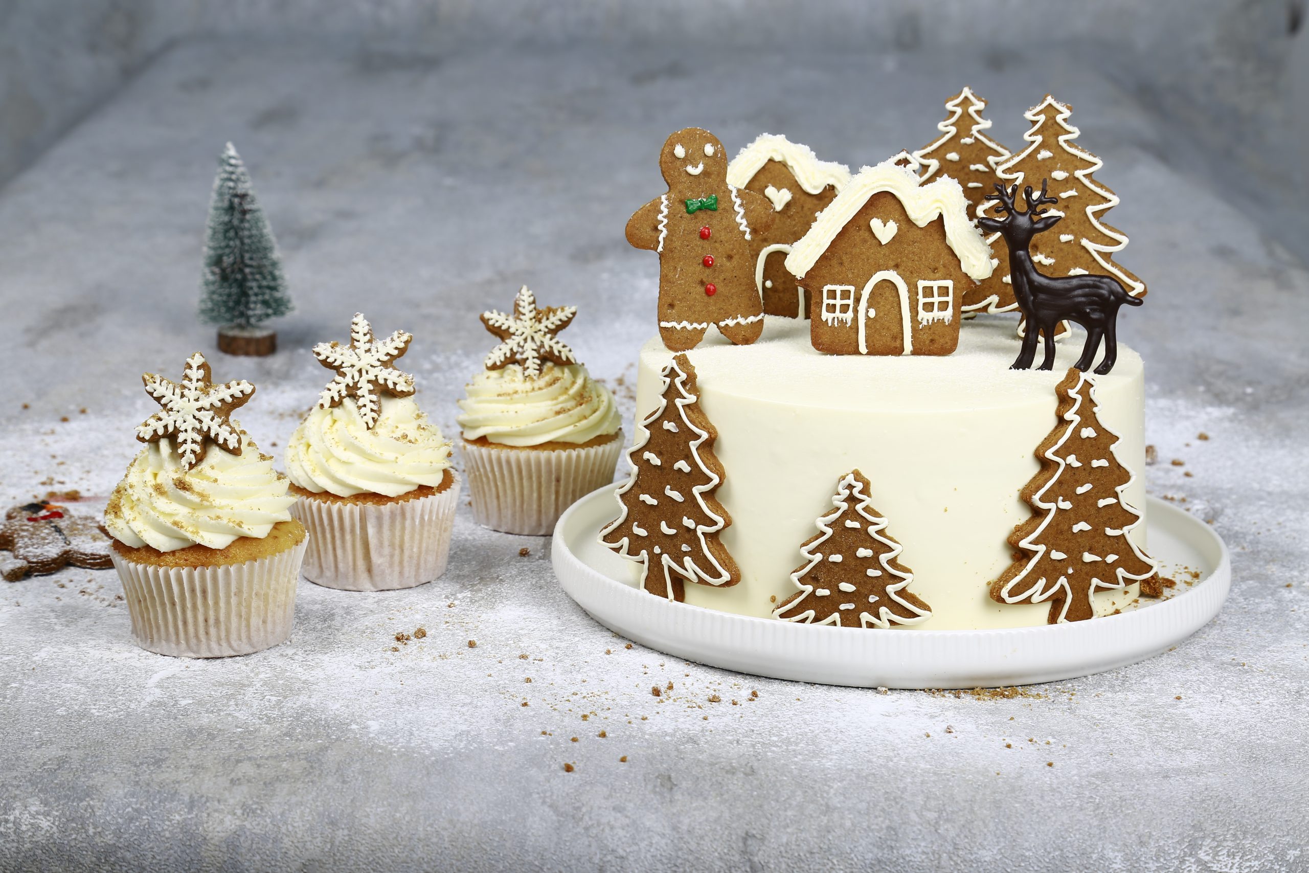 Christmas Snow House Cake Combo Dubai